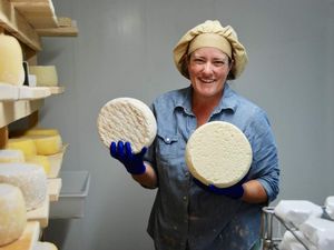 Bantu Pembuat Keju, Festival Keju Inggris Akan Digelar Secara Online