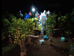 2 PDP Corona di Pekalongan Meninggal, Salah Satunya Bayi Pemudik Jakarta