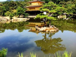 25 Kota Terbaik di Dunia, Ubud Kalahkan Tokyo dan Singapura