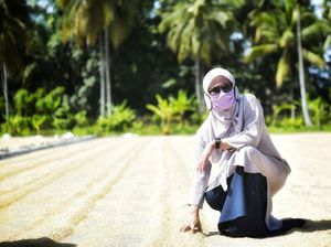 Bupati Luwu Utara Borong 5 Ton Beras untuk Dibagikan ke Warga