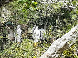 Meninggal di Perjalanan, Pemudik Asal Jakarta Dimakamkan Petugas Ber-APD