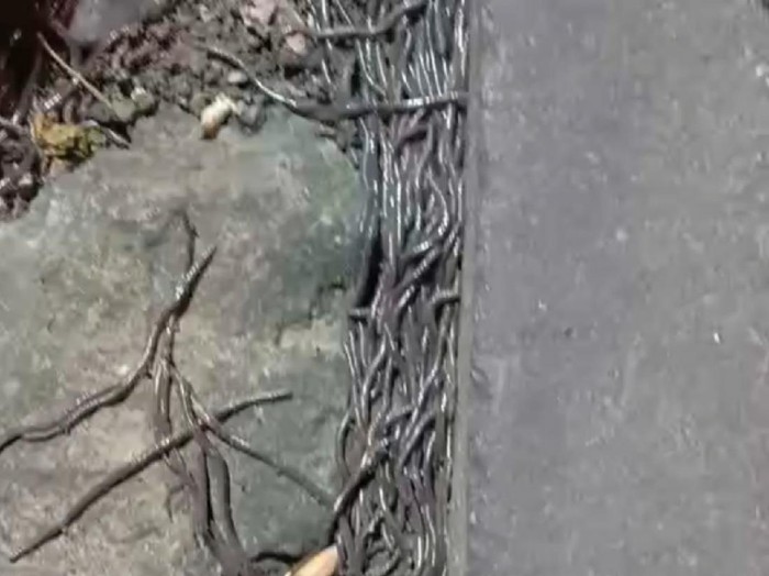 Ratusan cacing tanah tetiba muncul di Pasar Gede Solo