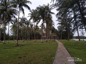 Bosan dengan Laut Biru, Pantai di Sini Berair Hitam