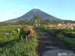 Gunung Semeru Masih Fluktuatif dan Berpotensi Luncurkan Awan Panas Lagi