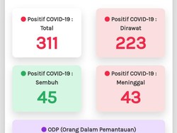 Update Corona di Jateng 18 April: 311 Positif, 45 Sembuh, dan 43 Meninggal