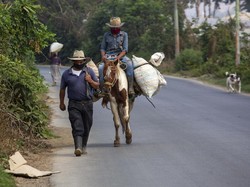 Guatemala Dapat Bantuan IMF Rp 8,3 Triliun untuk Lawan Corona