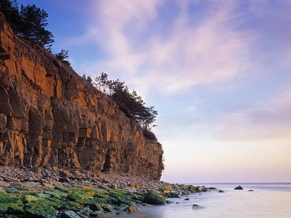 Potret Pulau Corona yang Mempesona di Estonia