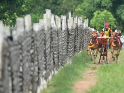 8 Lagu Daerah Madura Lengkap dengan Liriknya