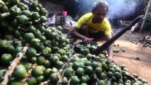 Jelang Ramadhan, Permintaan Kolang-kaling Meningkat