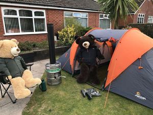 Tingkah Lucu Dua Beruang Raksasa Saat Karantina di Rumah