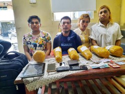 4 Kurir Ganja Asal Aceh Ditangkap di Batam