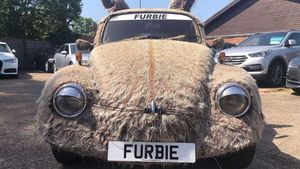 Spesies Langka, (VW) Kodok Punya Bulu