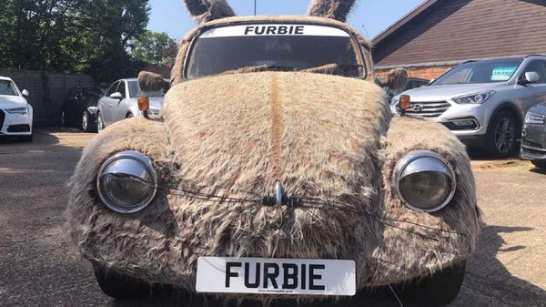 Spesies Langka, (VW) Kodok Punya Bulu
