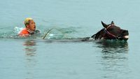 Melatih Kuda Pacu Hingga ke Tengah Laut