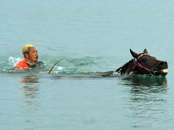 Melatih Kuda Pacu Hingga ke Tengah Laut