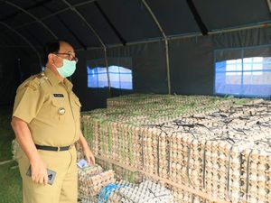 UKM Blitar Bergeliat Lagi, Produknya Dibeli Bupati untuk Bansos Dampak Corona UKM Blitar Bergeliat Lagi, Produknya Dibeli Bupati untuk Bansos Dampak Corona