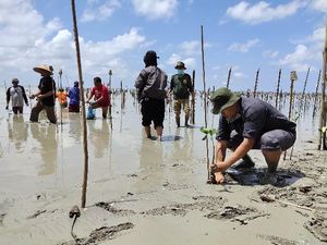 Way Kambas Rehabilitasi Mangrove Sekaligus Wadahi Masyarakat Terimbas Corona Way Kambas Rehabilitasi Mangrove Sekaligus Wadahi Masyarakat Terimbas Corona