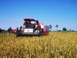Mentan Minta Petani Manfaatkan KUR agar Terhindar Praktik Ijon