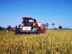 Mentan Minta Petani Manfaatkan KUR agar Terhindar Praktik Ijon Mentan Minta Petani Manfaatkan KUR agar Terhindar Praktik Ijon
