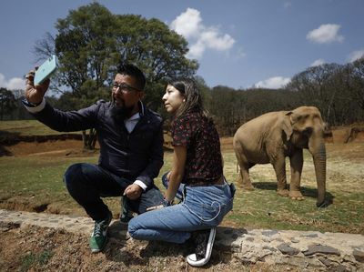 Kebun Binatang di Meksiko Jual Tiket Setengah Harga Demi Beli Makan Satwa