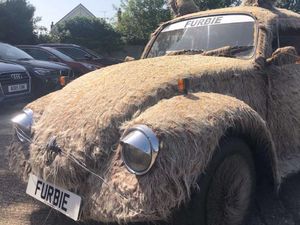 Mobil Ini Ditumbuhi Bulu karena Kelamaan di Rumah