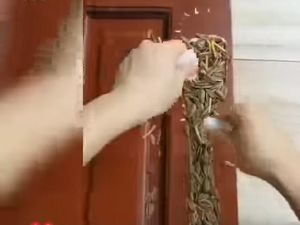 Bukan Mie Instan, Netizen Perbaiki Pintu Rusak Pakai Kuaci