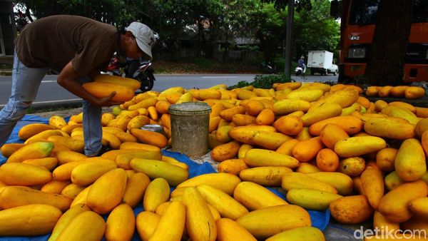 Jelang Ramadhan, Pedagang Timun Suri Mulai Ramai