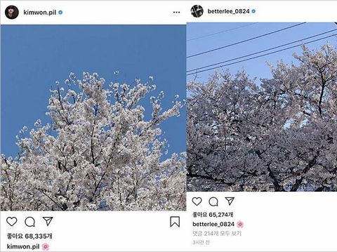 Unggahan Wonpil Day 6 dan Naeun April