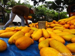 Timun Suri Sering Dikonsumsi saat Puasa, Benarkah Bisa Atasi Asam Lambung?