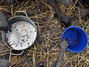 PBB: Dunia Terancam Dilanda Kelaparan Besar-besaran Akibat Pandemi Corona