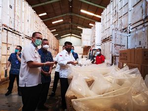 Kementan Lepas Ekspor Kacang Mete Rp 23,7 M ke Eropa dan AS