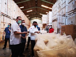 Kementan Lepas Ekspor Kacang Mete Rp 23,7 M ke Eropa dan AS