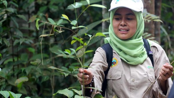Rayakan Hari Bumi dengan Lestarikan Tanaman Langka
