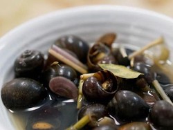 Fakta Keong Sawah yang Diolah Susi Pudjiastuti Jadi Oseng dan Pizza