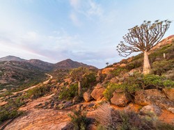 Hari Bumi Sedunia, Yuk Kenali Gurun Unik di Afrika Selatan