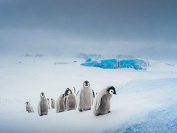 Lapisan Es Antartika yang Hampir Runtuh