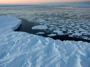 Gawat! Bumi Sudah Menunjukkan Tanda-tanda Kritis, Ilmuwan Sebut karena Manusia