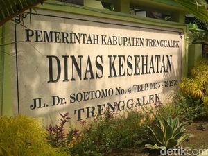 Demam Berdarah Masih Mengintai Trenggalek, 264 Warga Terjangkit