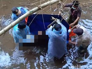 Tak Ada APD, Warga Gunakan Jas Hujan Evakuasi Mayat di Tengah Sungai