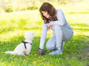 Mantan Model Didiskriminasi Karena Muslim, Disuruh Bos Pungut Kotoran Anjing