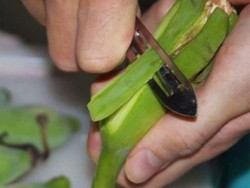 Cara Hilangkan Lemak Perut Kurang 15 Kg dalam 2 Minggu, Ini Resepnya