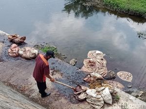 Pemkab Klaten Cek Karung Limbah Penuh Darah Berbau Anyir, Apa Isinya? Pemkab Klaten Cek Karung Limbah Penuh Darah Berbau Anyir, Apa Isinya?