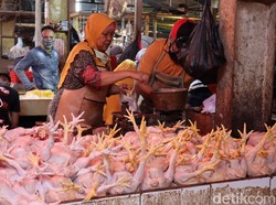 Saran FAO: Beli Makanan di Toko Tetangga dan Jangan Nimbun