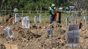 Nisan Kardus di Makam Korban COVID-19