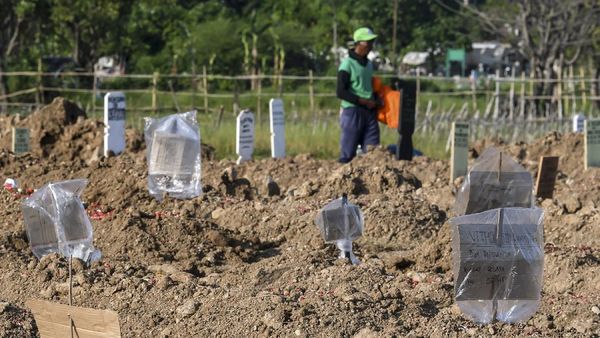 Nisan Kardus di Makam Korban COVID-19