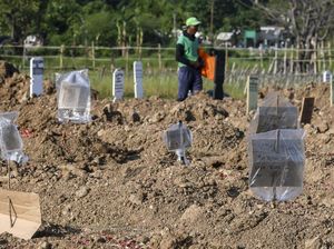 Nisan Kardus di Makam Korban COVID-19