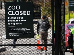 Kebun Binatang Cari Cara Bertahan di Tengah Pandemi Corona