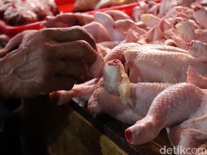 Harga Daging Ayam dan Sapi Masih Stabil, Nggak Bakal Naik Jelang Nataru?