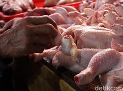 Harga Daging Ayam dan Sapi Masih Stabil, Nggak Bakal Naik Jelang Nataru?