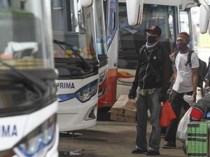 Mudik Gratis Kemenhub Dibuka Besok: Jadwal Berangkat, Rute hingga Kuota Mudik Gratis Kemenhub Dibuka Besok: Jadwal Berangkat, Rute hingga Kuota